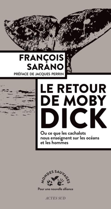 LE RETOUR DE MOBY DICK - OU CE QUE LES CACHALOTS NOUS ENSEIGNENT SUR LES OCEANS ET LES HOMMES - SARANO FRANCOIS - Actes Sud