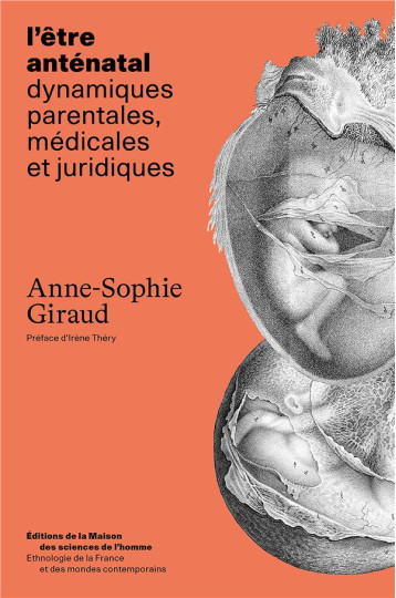 L' ÊTRE ANTENATAL : DYNAMIQUES PARENTALES, MEDICALES ET JURIDIQUES - GIRAUD ANNE-SOPHIE - Maison des Sciences de l'Homme