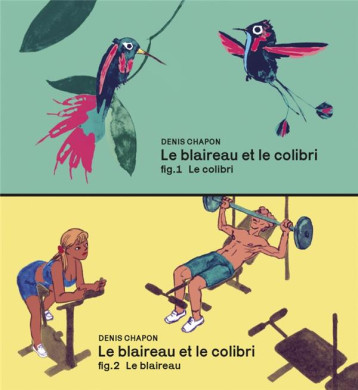 LE BLAIREAU ET LE COLIBRI - FLIP BOOK - CHAPON DENIS - FLBLB