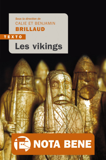 Les vikings - Brillaud Calie, BRILLAUD Benjamin - TALLANDIER