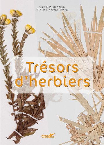 Trésors d'Herbiers - MANSION Guilhem, GUGGISBERG Alessia - PLUME CAROTTE