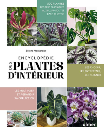 Encyclopédie des plantes d'intérieur - Moutardier Solène - ULMER