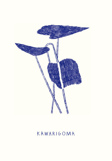 Kawarigoma - Nigel Peake - FOTOKINO