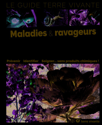 Le guide des maladies et ravageurs au potager bio - XXX - TERRE VIVANTE