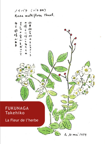 La Fleur de l'herbe - Takehiko Fukunaga, Yves-Marie Allioux, Iwatsu Kô - BELLES LETTRES