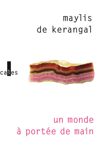 UN MONDE A PORTEE DE MAIN - KERANGAL MAYLIS DE - VERTICALES