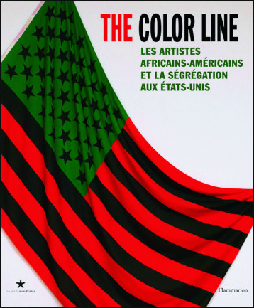 THE COLOR LINE - COLLECTIF - FLAMMARION