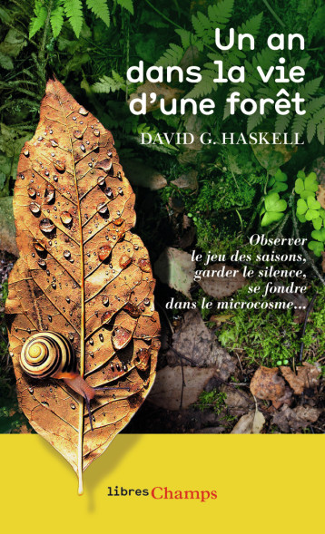 UN AN DANS LA VIE D'UNE FORET - HASKELL DAVID GEORGE - FLAMMARION