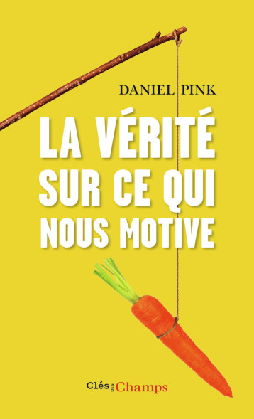 LA VERITE SUR CE QUI NOUS MOTIVE - PINK DANIEL H. - FLAMMARION