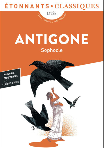 THEATRE - ANTIGONE - SOPHOCLE - FLAMMARION