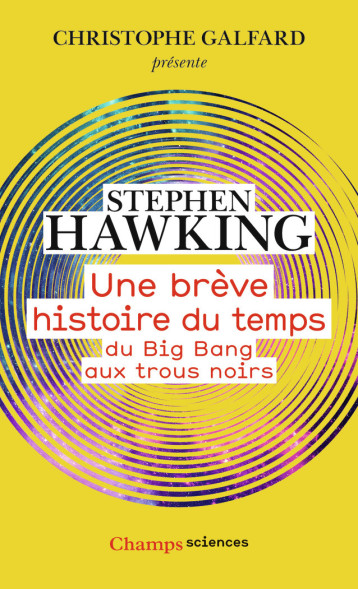 UNE BRÈVE HISTOIRE DU TEMPS : DU BIG BANG AUX TROUS NOIRS - STEPHEN HAWKING - FLAMMARION