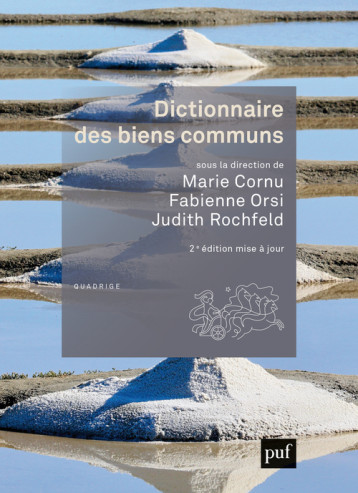 DICTIONNAIRE DES BIENS COMMUNS - COLLECTIF - PUF