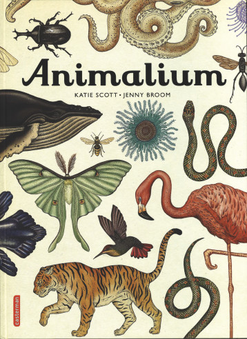 ANIMALIUM - BROOM JENNY - CASTERMAN