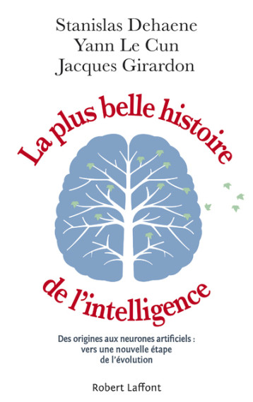 LA PLUS BELLE HISTOIRE DE L'INTELLIGENCE - DEHAENE STANISLAS - ROBERT LAFFONT