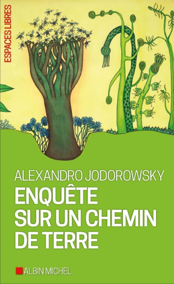 ENQUETE SUR UN CHEMIN DE TERRE - JODOROWSKY ALEXANDRO - ALBIN MICHEL