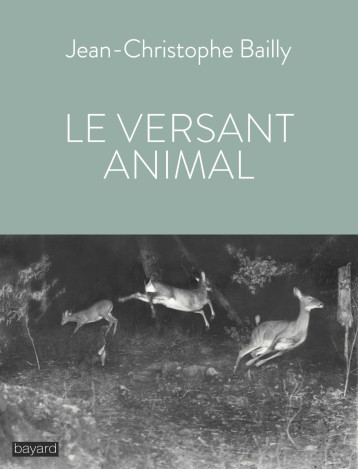 LE VERSANT ANIMAL - BAILLY J-C. - BAYARD ADULTE