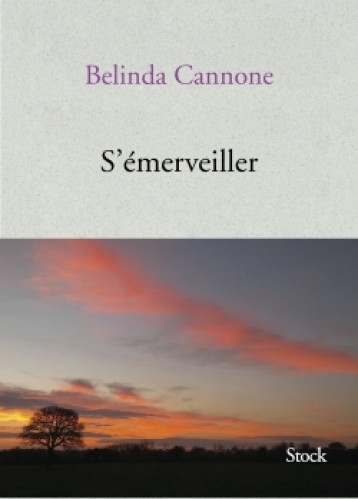 S'EMERVEILLER - CANNONE BELINDA - STOCK