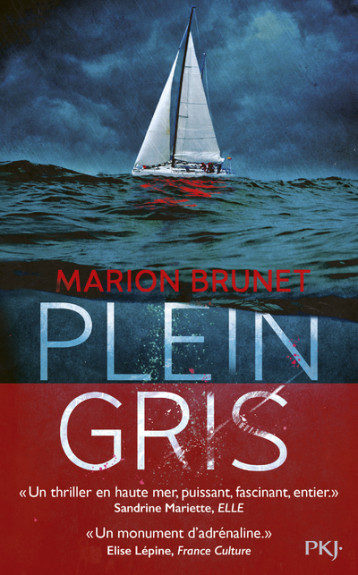 PLEIN GRIS - BRUNET MARION - POCKET JEUNESSE