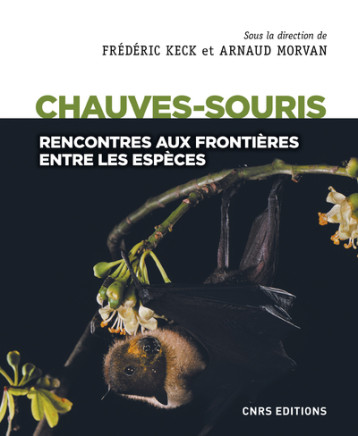 LES CHAUVES-SOURIS. AUX FRONTIERES ENTRE LES ESPACES - KECK/MORVAN - CNRS EDITIONS