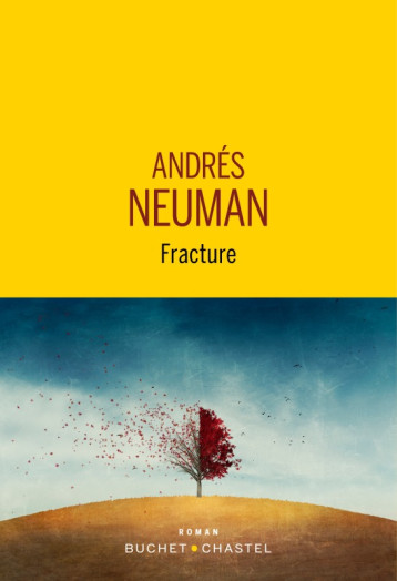 FRACTURE - NEUMAN ANDRES - BUCHET CHASTEL