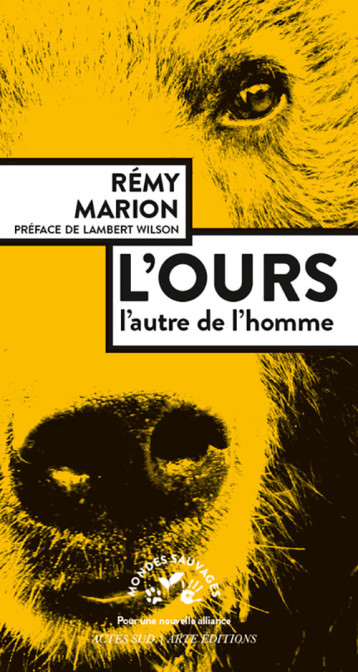 L'OURS - MARION REMY - ACTES SUD