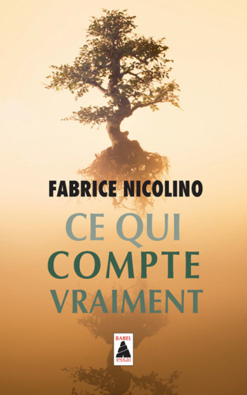 CE QUI COMPTE VRAIMENT BABEL - NICOLINO FABRICE - ACTES SUD