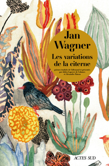 LES VARIATIONS DE LA CITERNE - WAGNER JAN - ACTES SUD