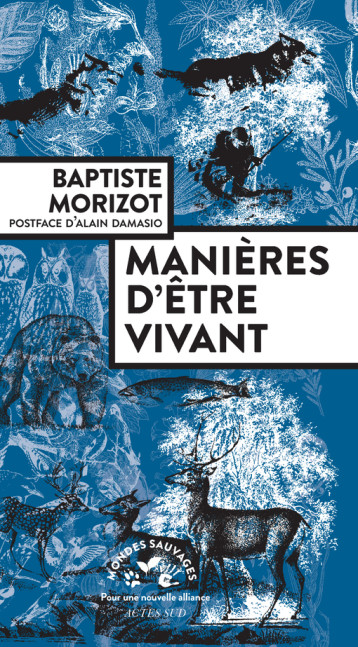 MANIERES D'ETRE VIVANT - ENQUETES SUR LA VIE A TRAVERS NOUS - MORIZOT BAPTISTE - ACTES SUD