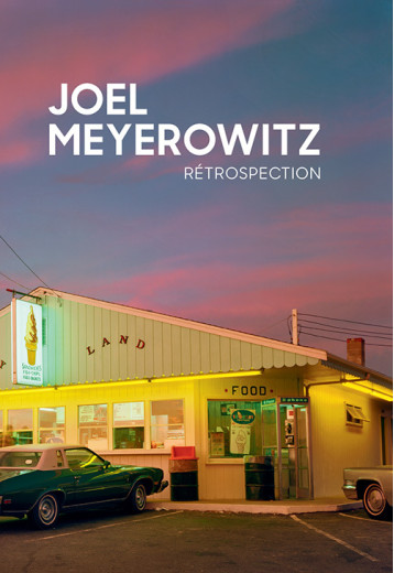 Rétrospection -  MEYEROWITZ JOEL/DELABY MARIE - TEXTUEL