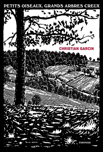 Petits oiseaux, grands arbres creux - Christian Garcin - FINITUDE