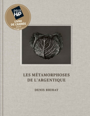 LES METAMORPHOSES DE L'ARGENTIQUE - Denis BRIHAT - BEC EN AIR