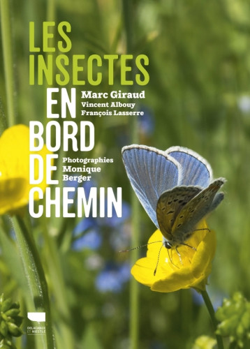 Les Insectes en bord de chemin - Vincent Albouy - DELACHAUX