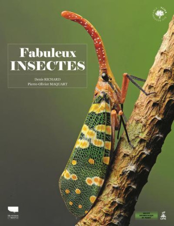 Fabuleux insectes - Denis Richard - DELACHAUX