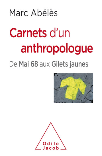 Carnets d'un anthropologue - Marc Abélès - JACOB