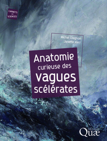 Anatomie curieuse des vagues scélérates - Janette Kerr - QUAE