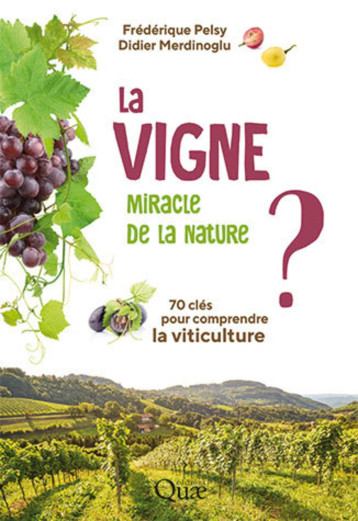 La vigne, miracle de la nature ? - Frédérique Pelsy - QUAE