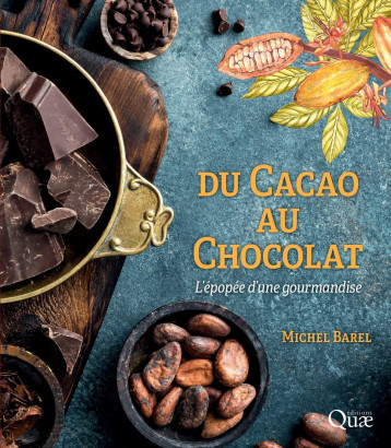 Du cacao au chocolat - Michel Barel - QUAE