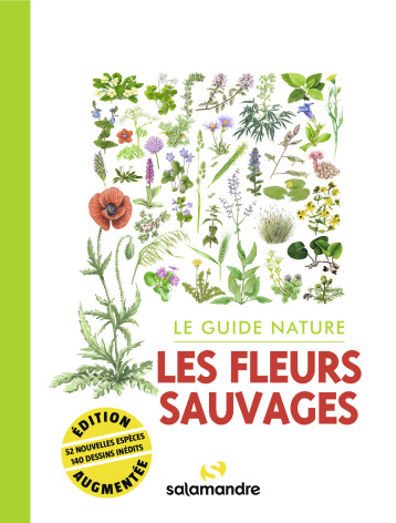 Le guide nature Les fleurs sauvages  -  Collectif - LA SALAMANDRE