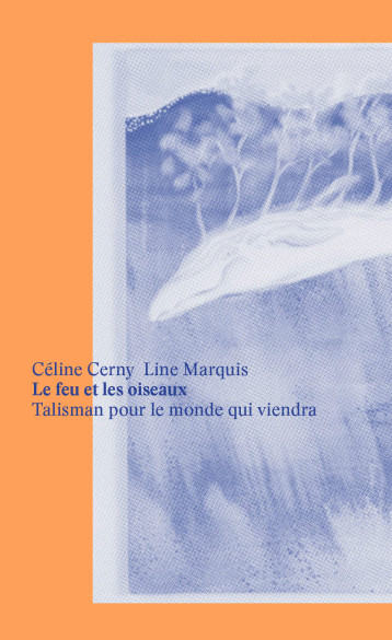 Le feu et les oiseaux -  Céline CERNY - ART FICTION