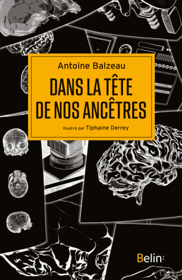 Dans la tête de nos ancêtres - Antoine Balzeau - BELIN